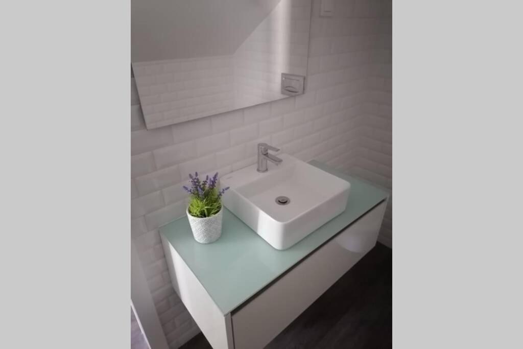 Porta 10 - Perfect For 2 With Small Terrace Aveiro Ngoại thất bức ảnh
